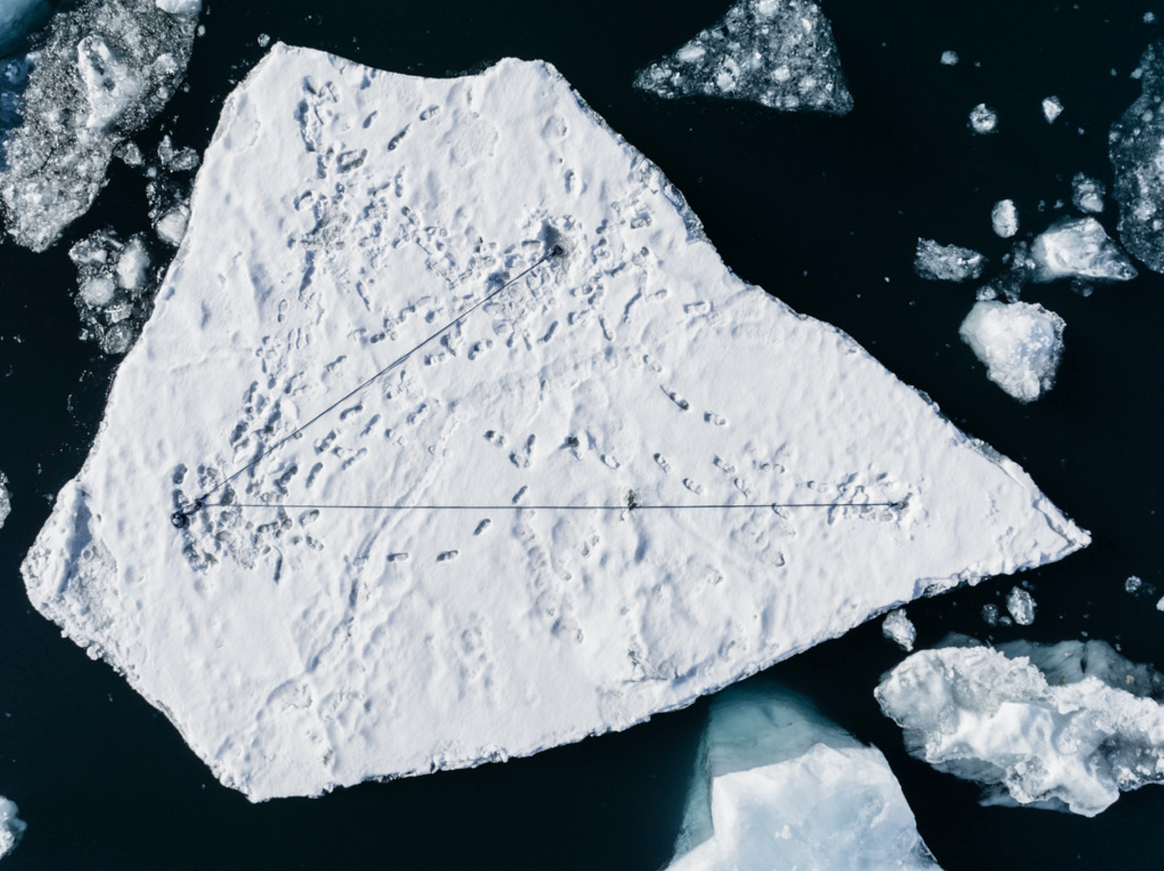 Polar Direction
